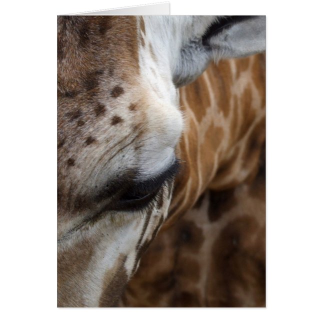 Tarjeta Giraffe (Frente)