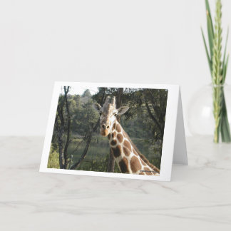 Tarjeta Giraffe