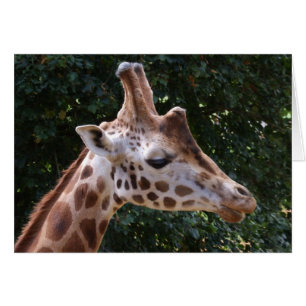 Tarjeta Giraffe