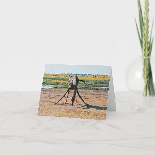 Tarjeta Giraffe (Anverso)