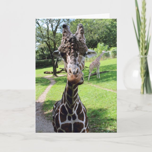 Tarjeta Giraffe (Anverso)