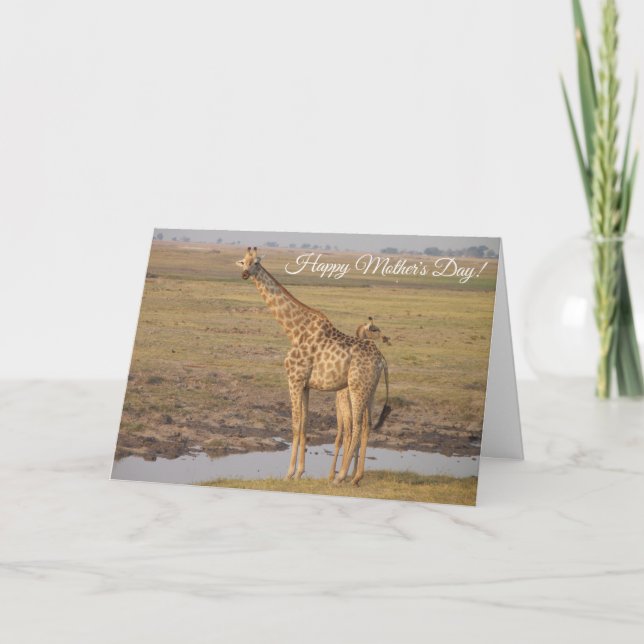 Tarjeta Giraffe del Día de la Madre (Anverso)