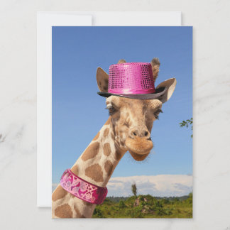 Tarjeta Giraffe en gorra rosa brillante