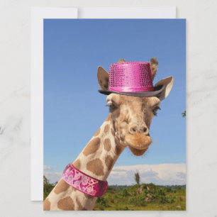 Tarjeta Giraffe en gorra rosa brillante