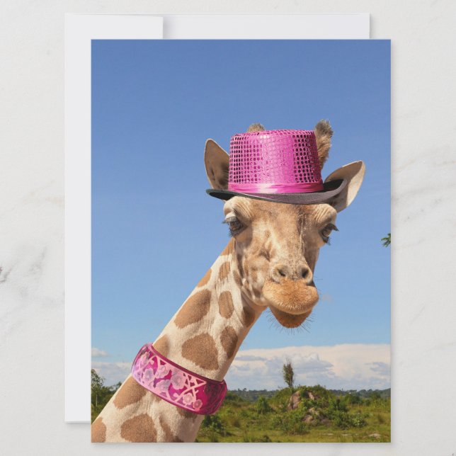 Tarjeta Giraffe en gorra rosa brillante (Anverso)