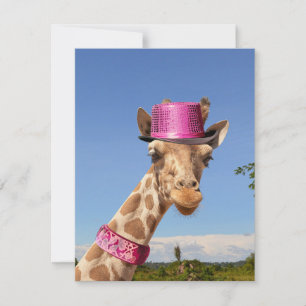 Tarjeta Giraffe en gorra rosa brillante