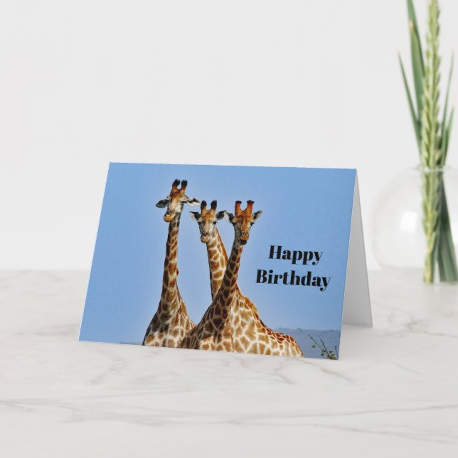 Tarjeta Giraffe Herd de Vida Silvestre Foto Cumpleaños (Anverso)