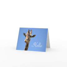 Giraffe Photo Cute Hello Blue
