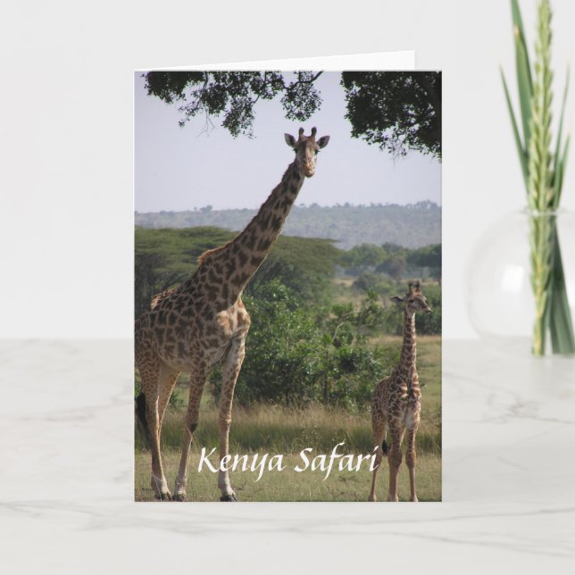 Tarjeta Giraffe, Safari de Kenia (Anverso)