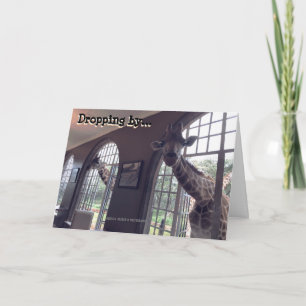 Tarjeta Giraffes de cumpleaños