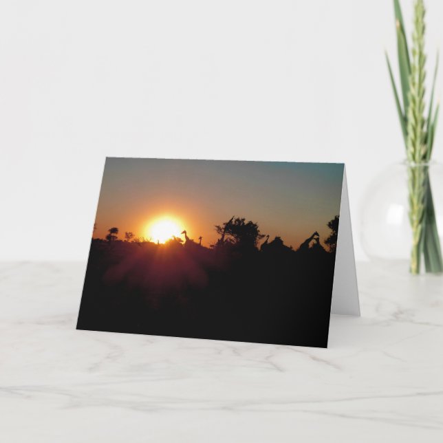 TARJETA GIRAFFES EN EL SOL (Anverso)
