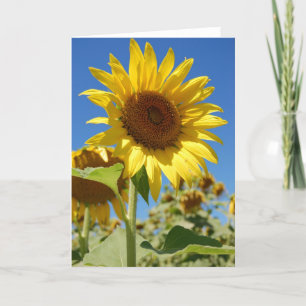 Tarjeta Girasol