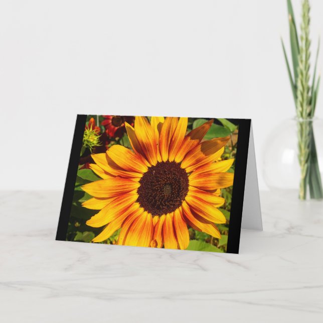 Tarjeta Girasol (Anverso)