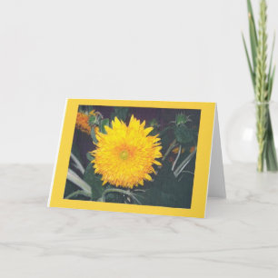 TARJETA GIRASOL