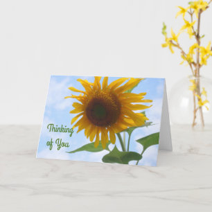 Tarjeta Girasol