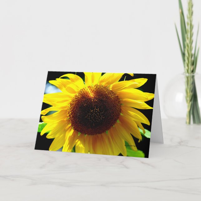 Tarjeta Girasol (Anverso)
