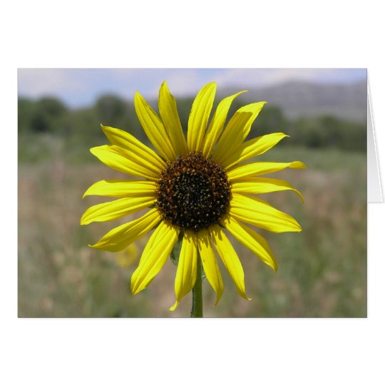 Tarjeta Girasol