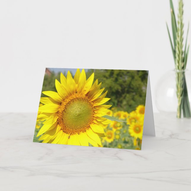 Tarjeta girasol (Anverso)