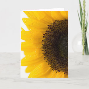 Tarjeta girasol