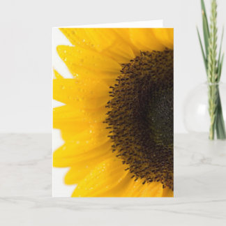 Tarjeta girasol