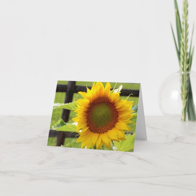 Tarjeta Girasol (Anverso)