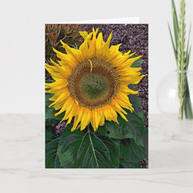 Tarjeta Girasol (Anverso)