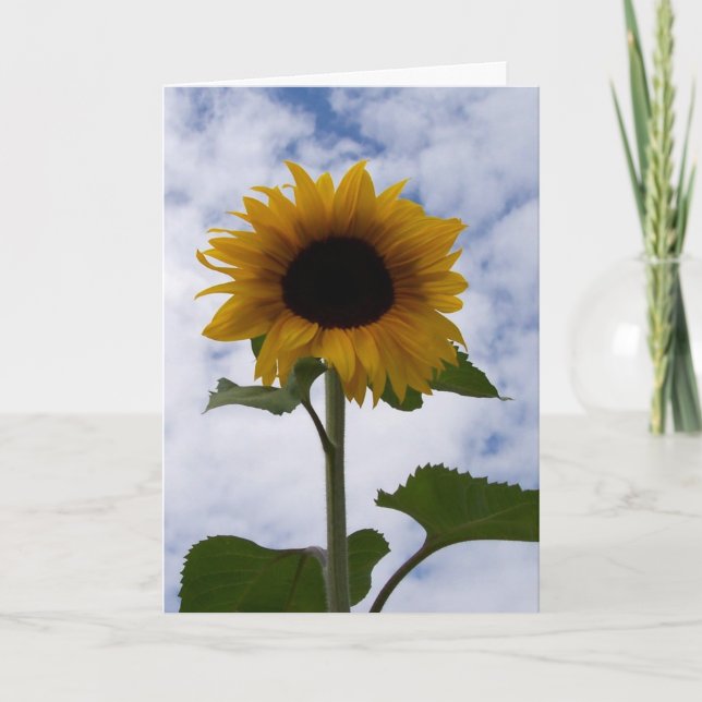 Tarjeta girasol (Anverso)
