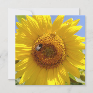 Tarjeta Girasol amarillo
