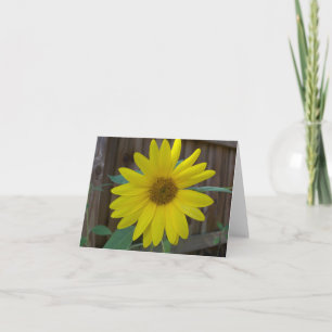 Tarjeta Girasol amarillo cerca de