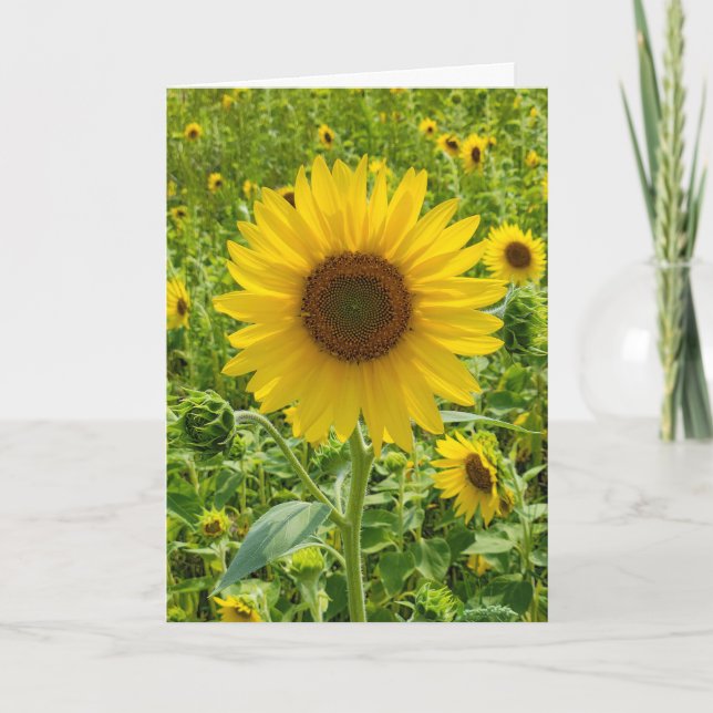 Tarjeta Girasol de cumpleaños (Anverso)