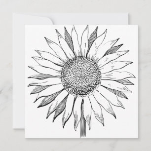 Tarjeta Girasol ilustrado