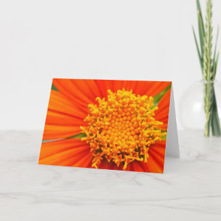 Tarjeta Girasol mexicano