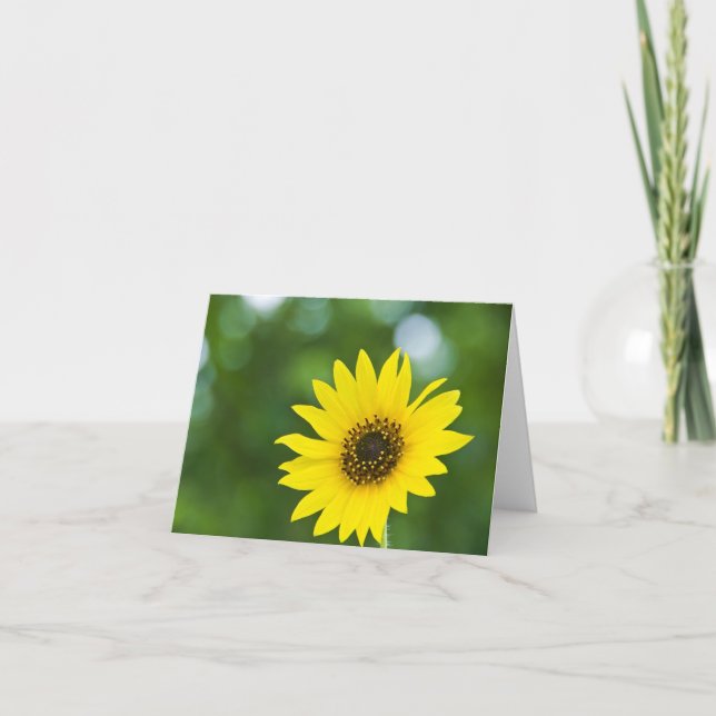 Tarjeta Girasol Notecards (Anverso)