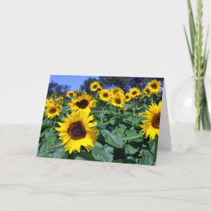 Tarjeta Girasol para la mamá