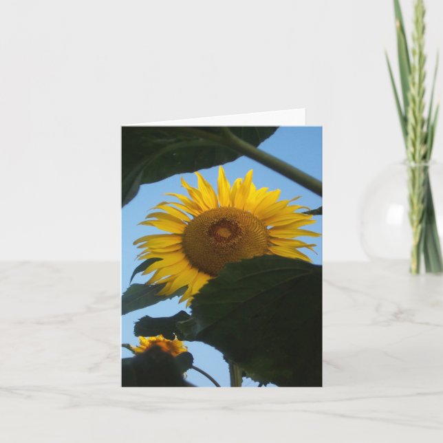 Tarjeta Girasol que mira a escondidas Notecard (Anverso)