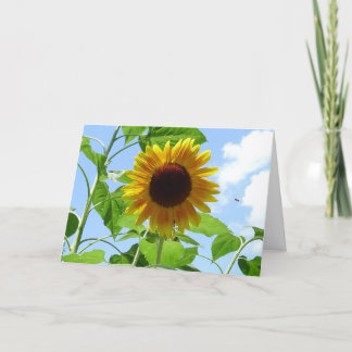 Tarjeta Girasol Radiante, Provenza, Francia -