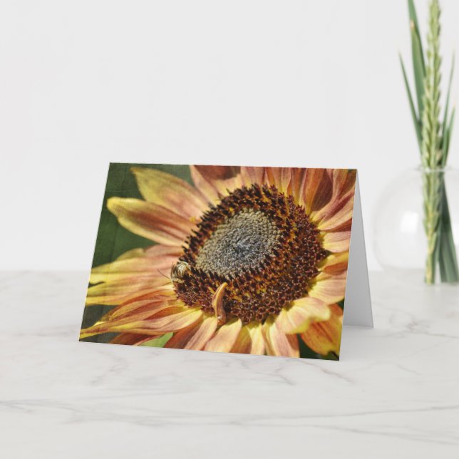 Tarjeta Girasol ruso (Anverso)