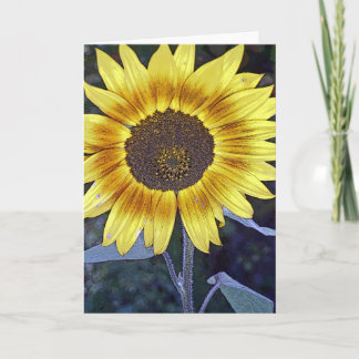 Tarjeta Girasol salvaje