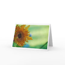 Girasol [Tarjeta de felicitación]