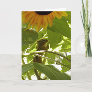 Tarjeta Girasol y Chipmunk
