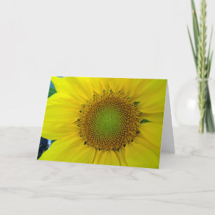 Tarjeta Girasol y semillas, espiral, proporción áurea