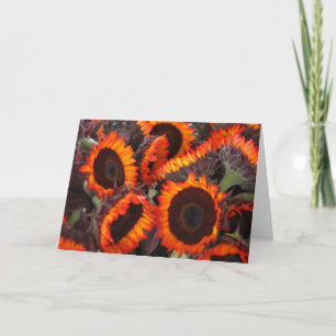 Tarjeta girasoles