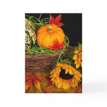 Girasoles de la cosecha de otoño