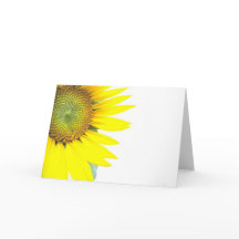 Girasoles de primavera