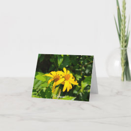 Tarjeta Girasoles del Bosque - Saludos de Bienvenida