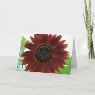 Tarjeta giratoria