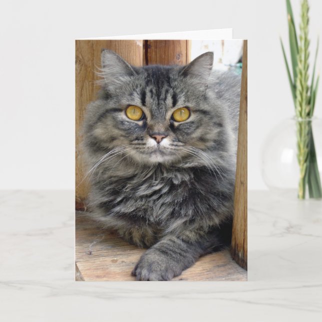 Tarjeta gitana (Anverso)