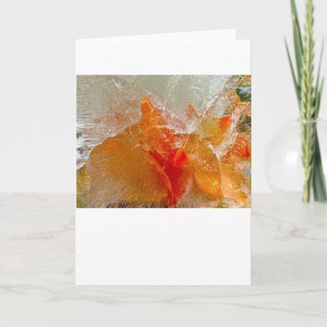 Tarjeta Gladioli en hielo, (Anverso)