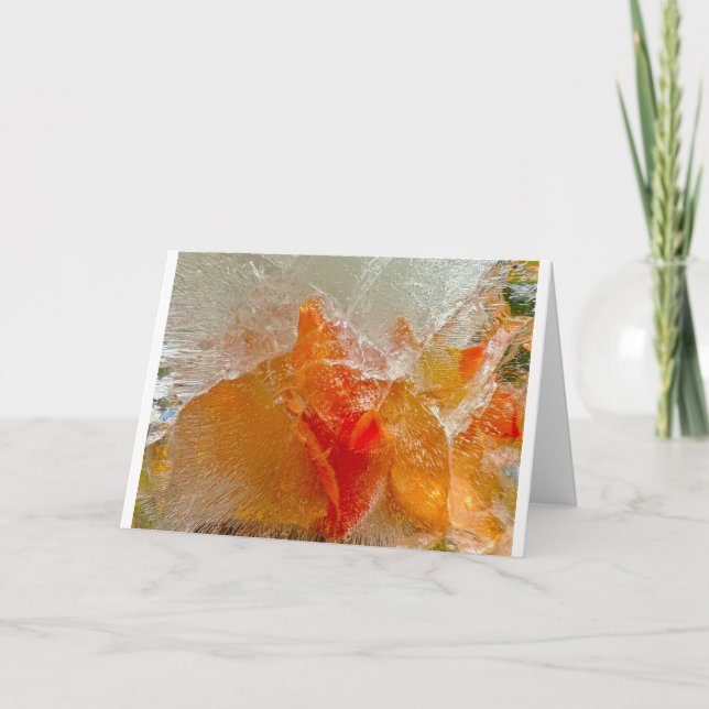 Tarjeta Gladioli en hielo, (Anverso)