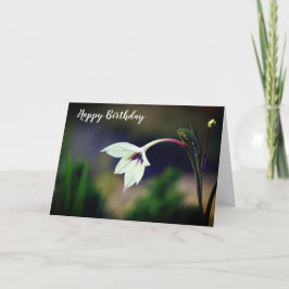 Tarjeta Gladiolo blanco flor de jardín Feliz Cumpleaños